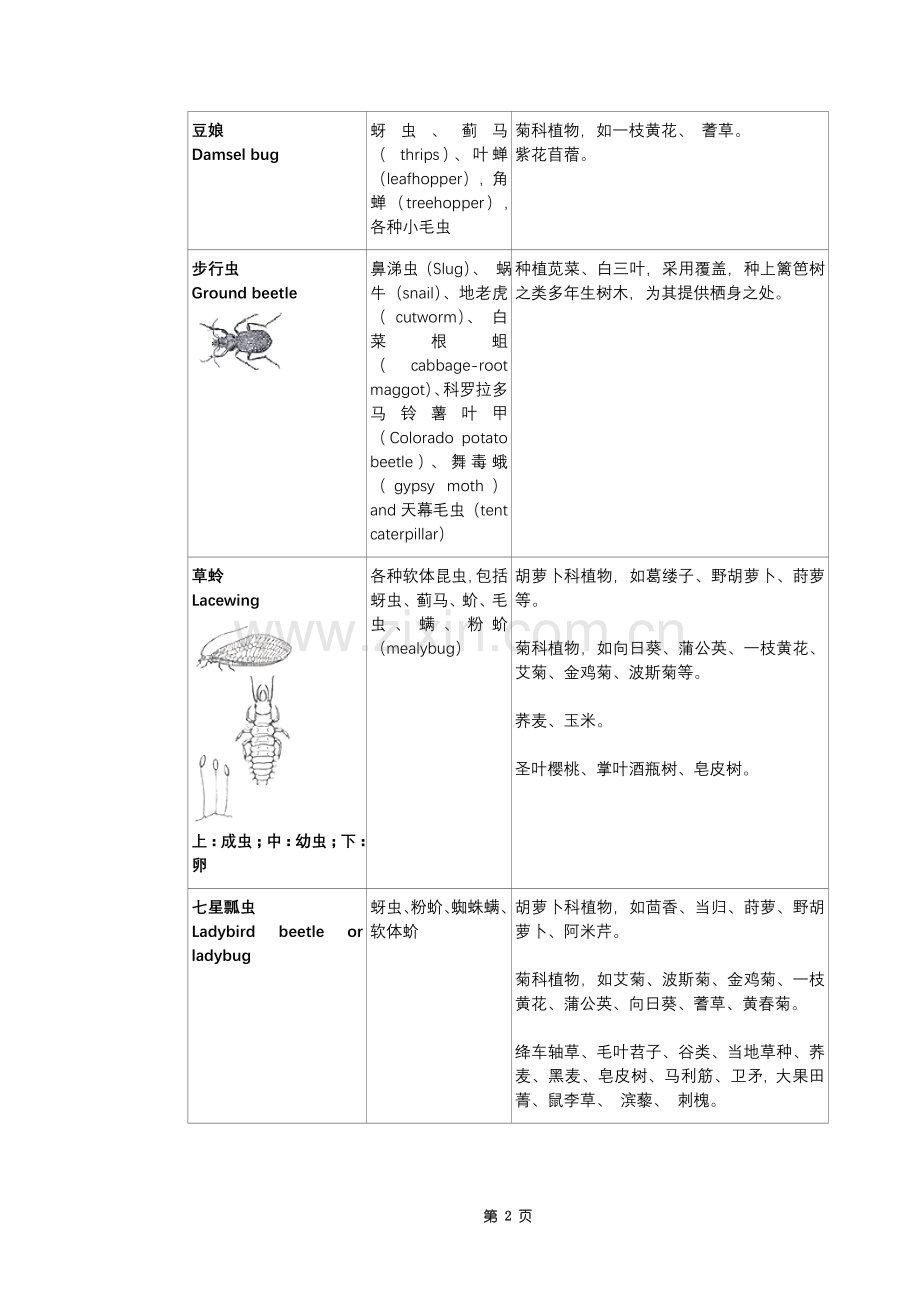 【菜园里的学问】常见益虫资料.doc_第2页