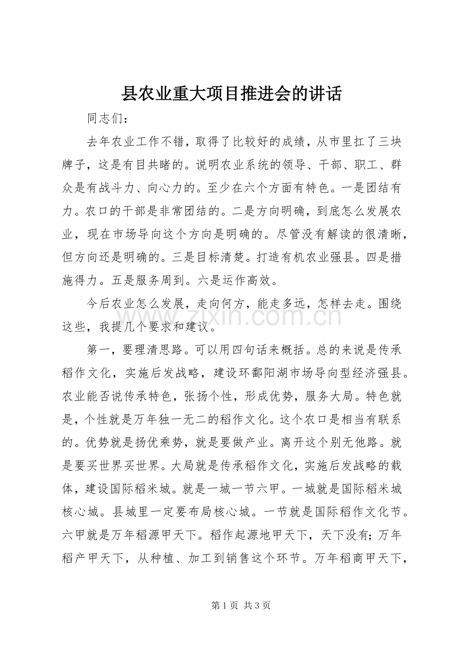 县农业重大项目推进会的讲话.docx_第1页