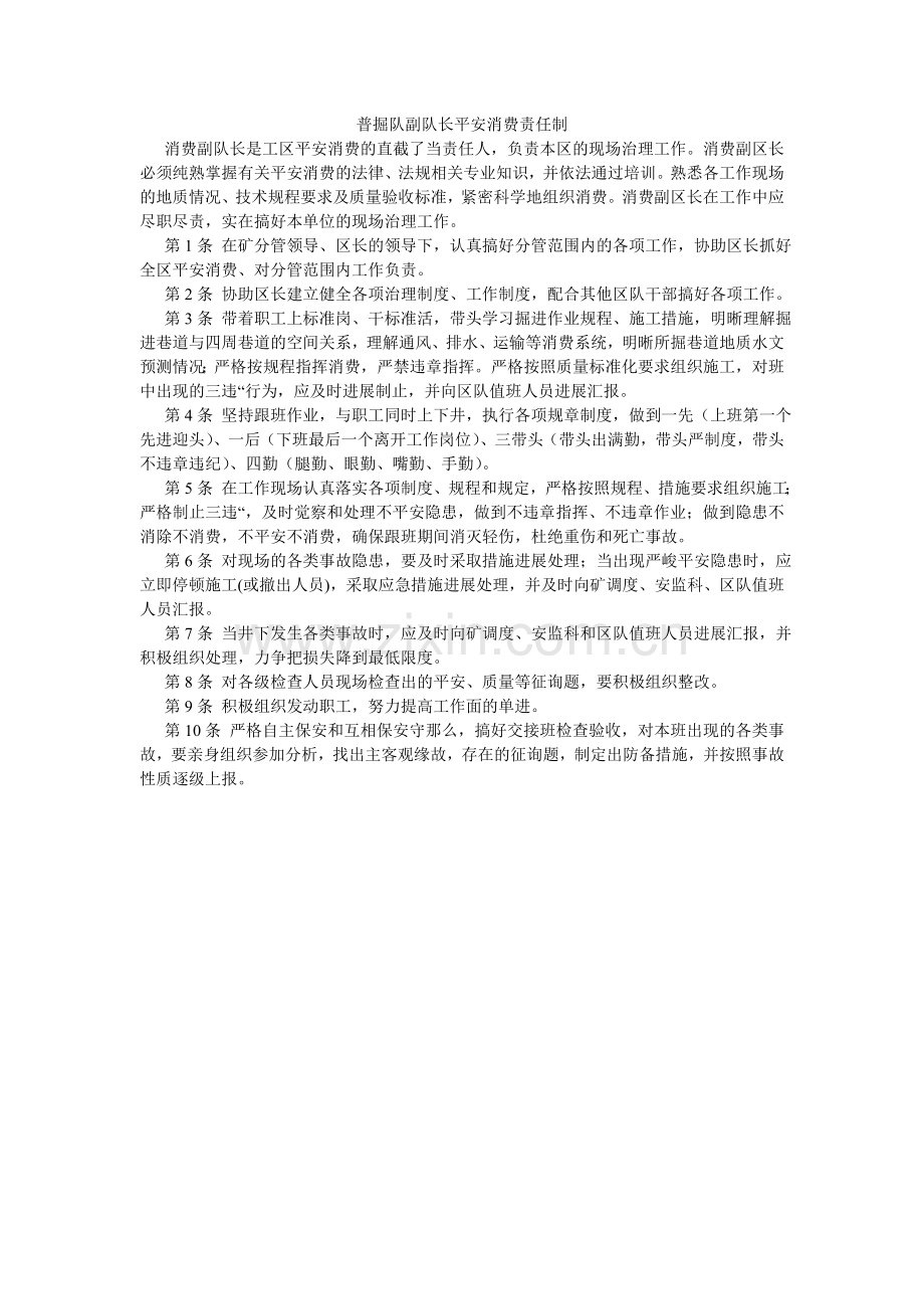 普掘队副队长安全生产责任制.doc_第1页