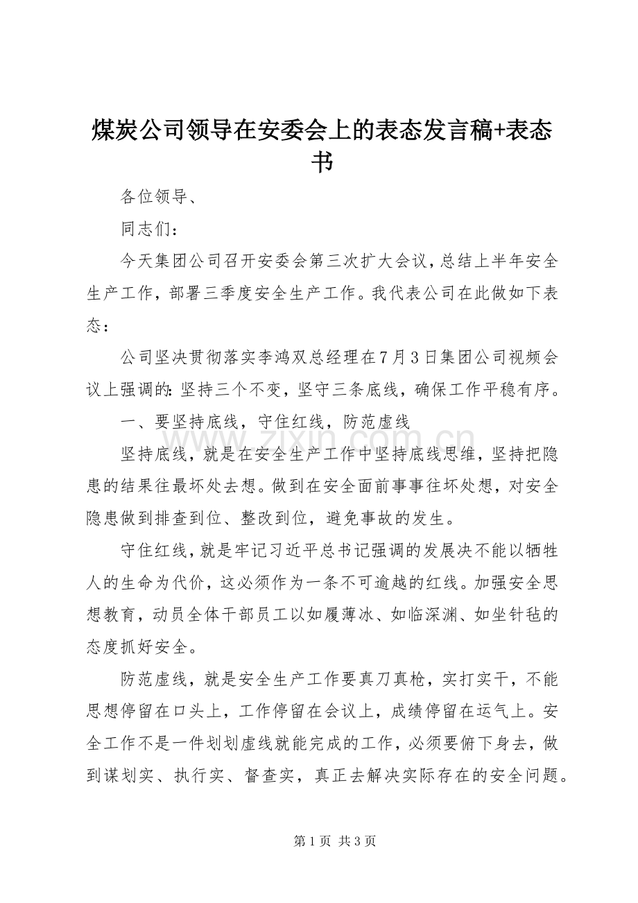 煤炭公司领导在安委会上的表态发言稿+表态书.docx_第1页