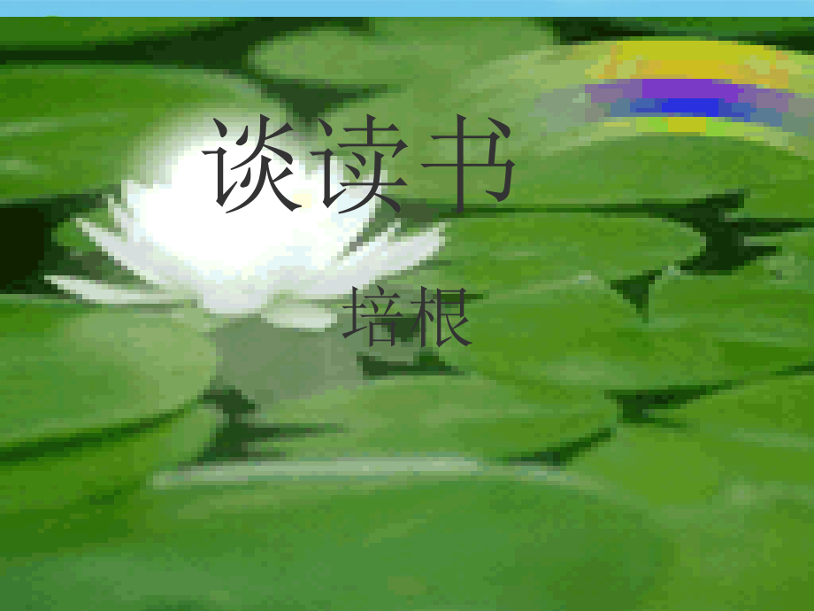 九年级语文上册(短文两篇·不求甚解·谈读书)优秀课件(42页) 人教新课标版 课件.ppt_第1页