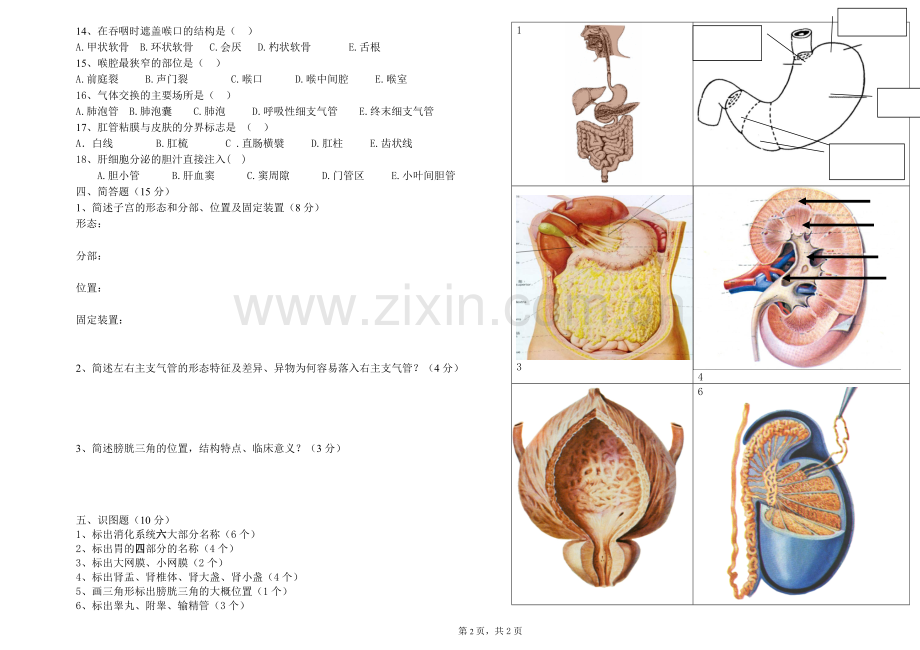 2014高一年级解剖学第二次月考试题.doc_第2页