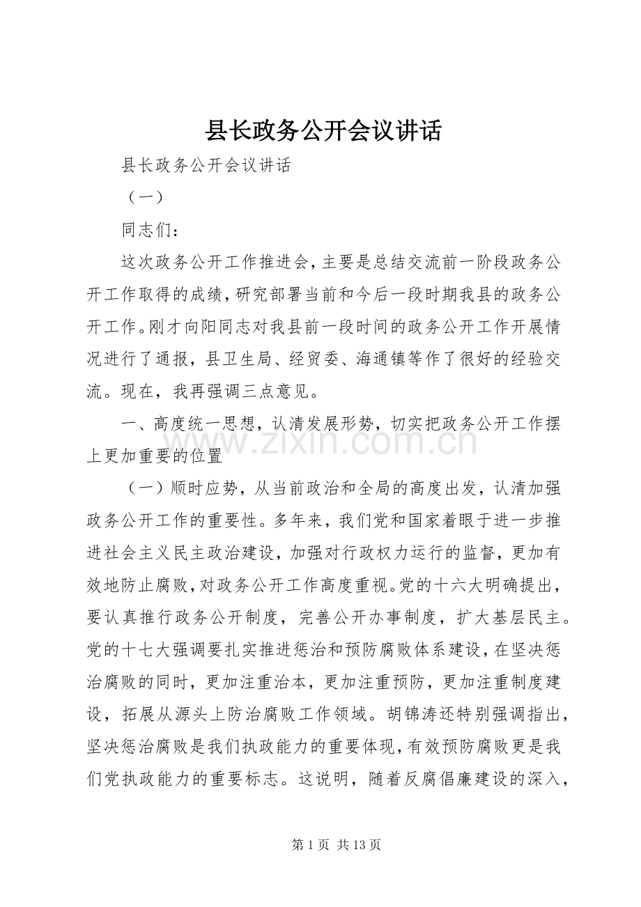 县长政务公开会议讲话.docx_第1页