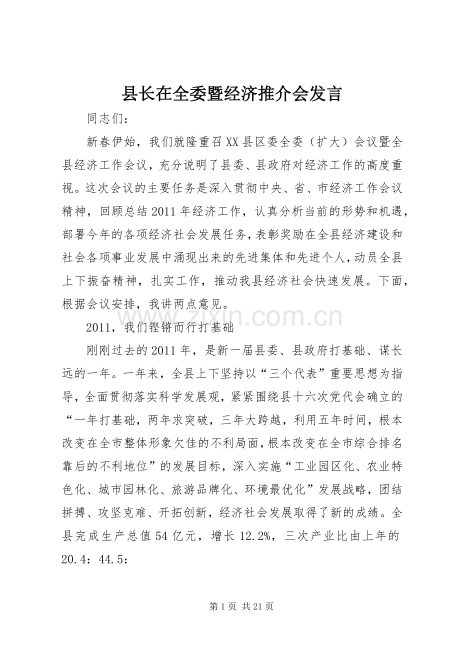 县长在全委暨经济推介会发言稿.docx_第1页