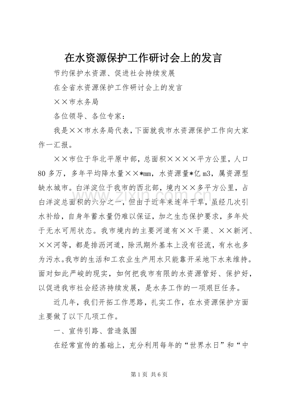 在水资源保护工作研讨会上的发言.docx_第1页