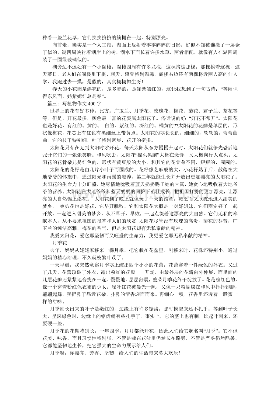 描写花的作文400字.doc_第2页