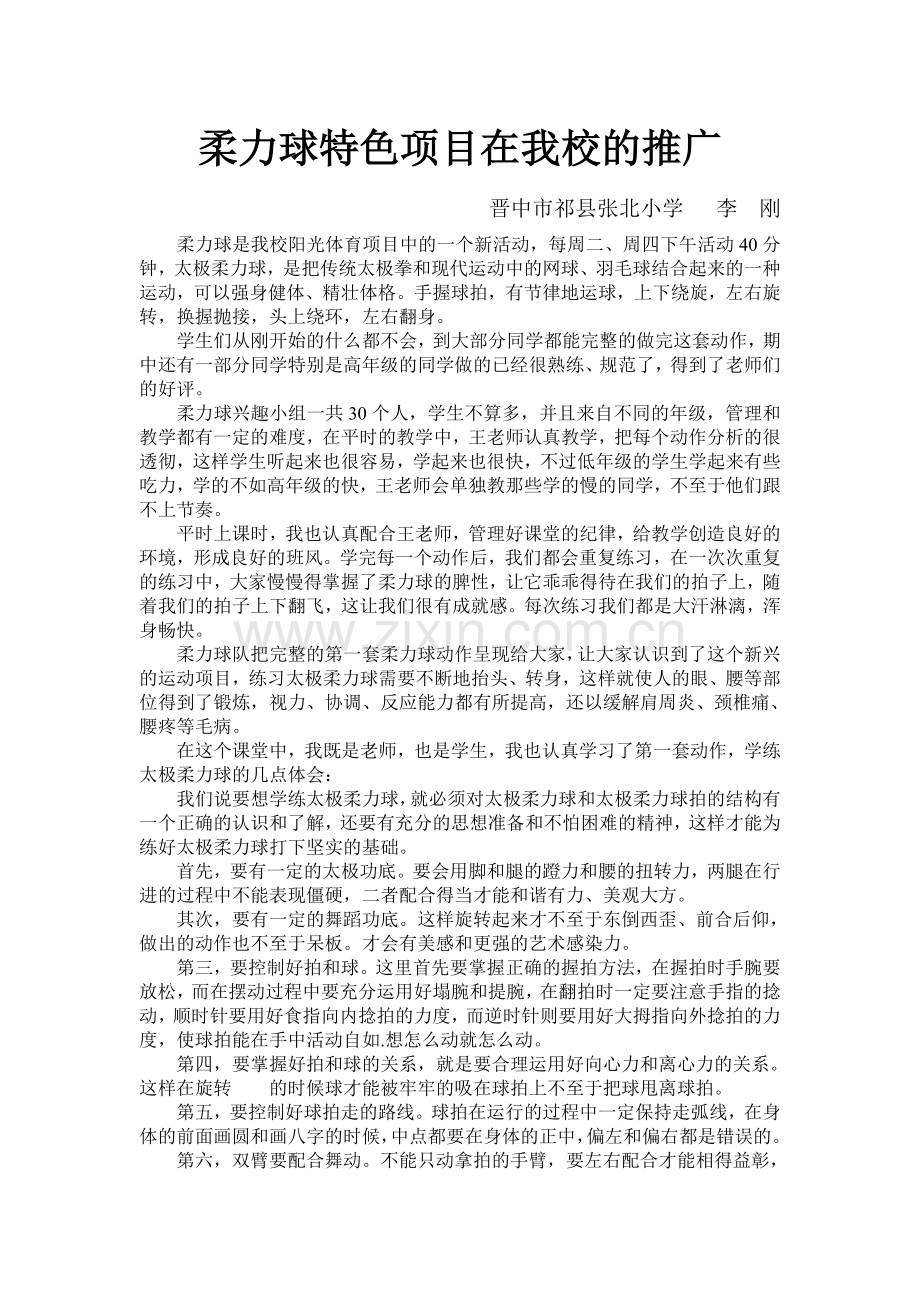 特色体育项目运用---柔力球特色项目在我校的推广.doc_第1页