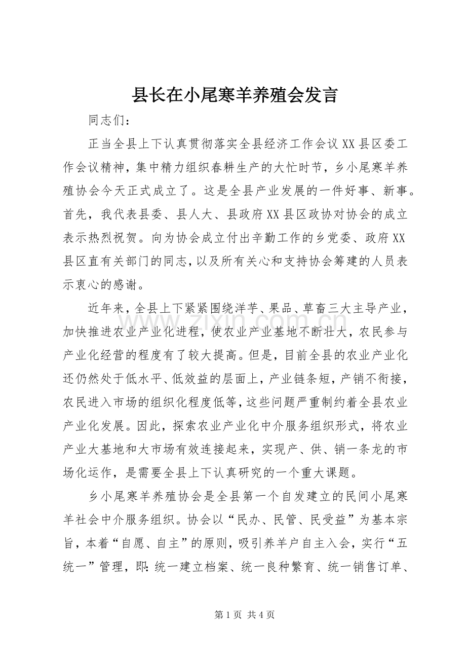 县长在小尾寒羊养殖会发言稿.docx_第1页