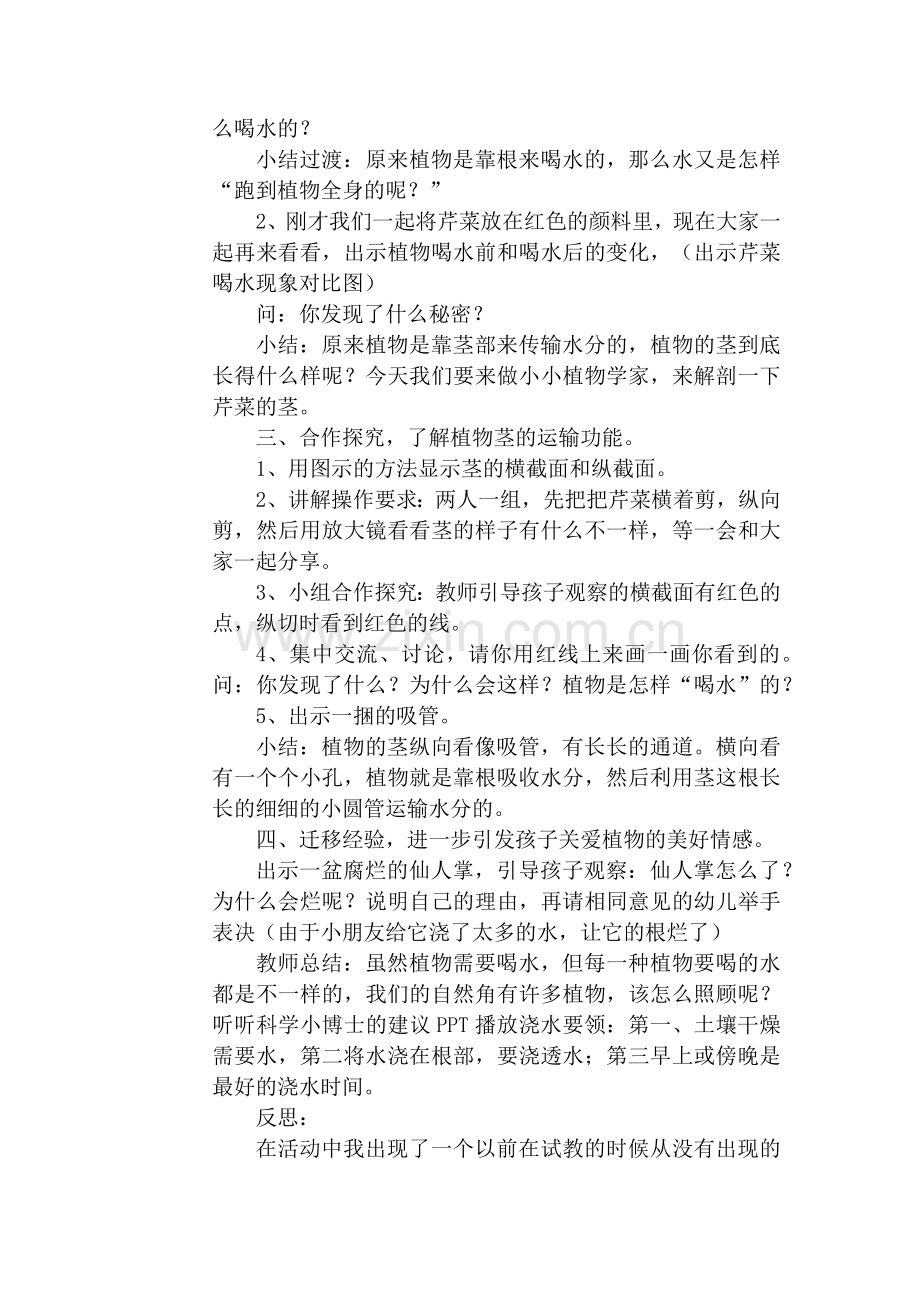 植物是怎么喝水的.docx_第2页