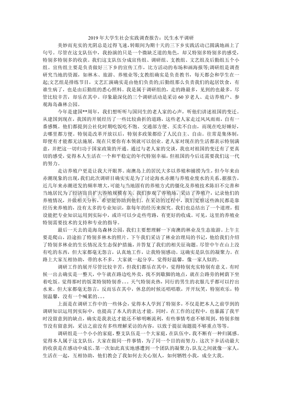 大学生ۥ社会实践调查报告：民生水平调研.doc_第1页