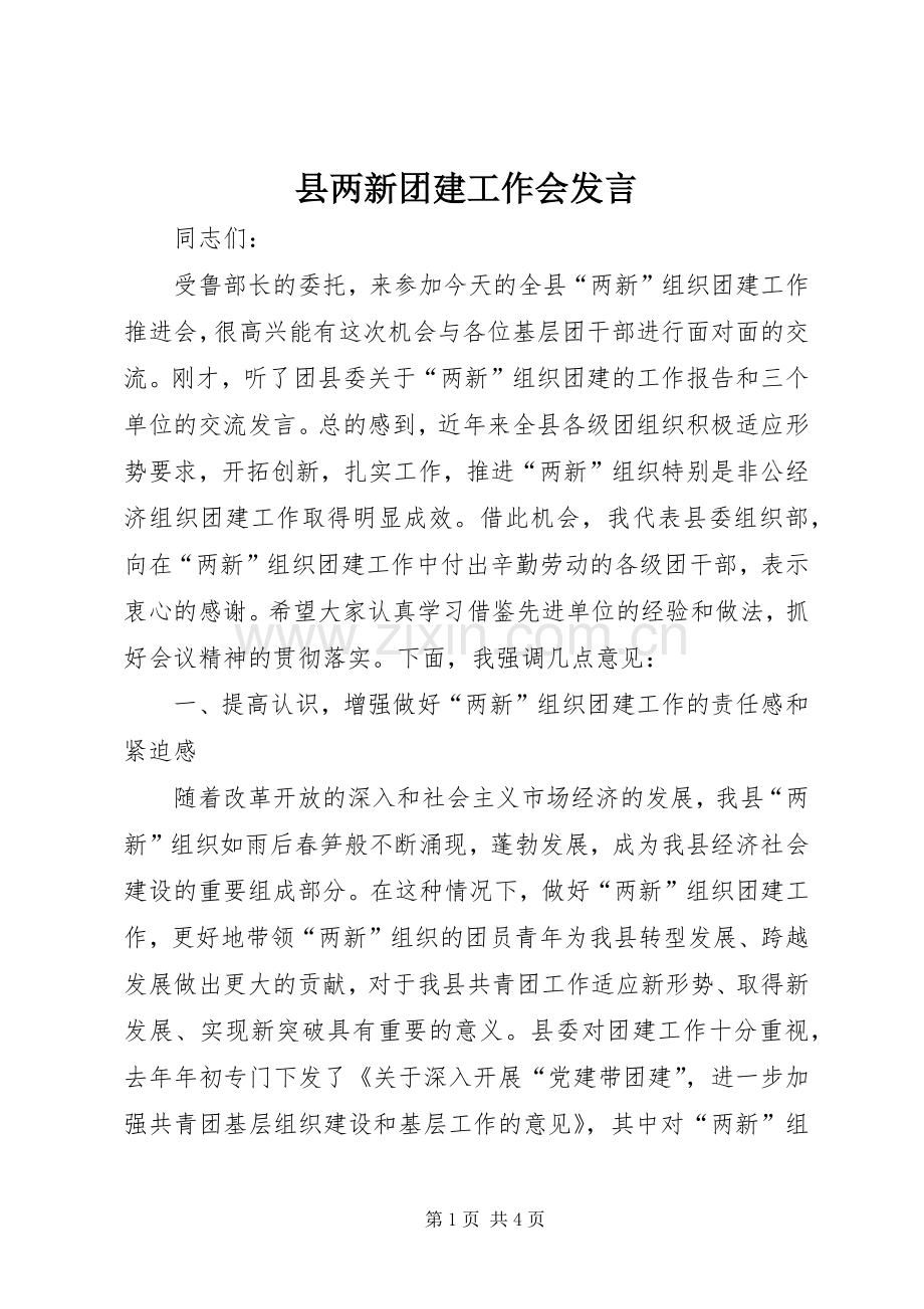 县两新团建工作会发言稿.docx_第1页