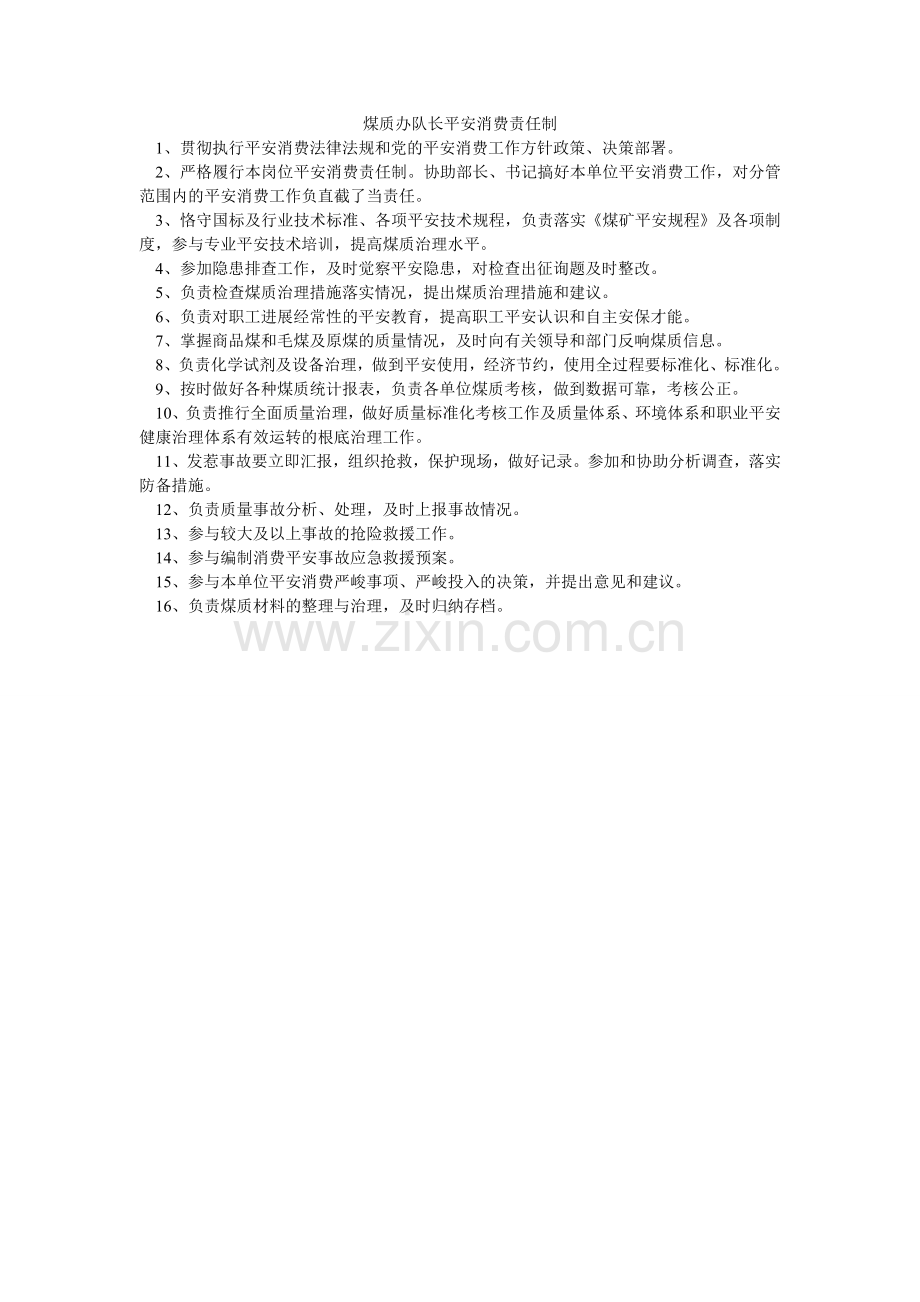 煤质办队长安全生产责任制.doc_第1页