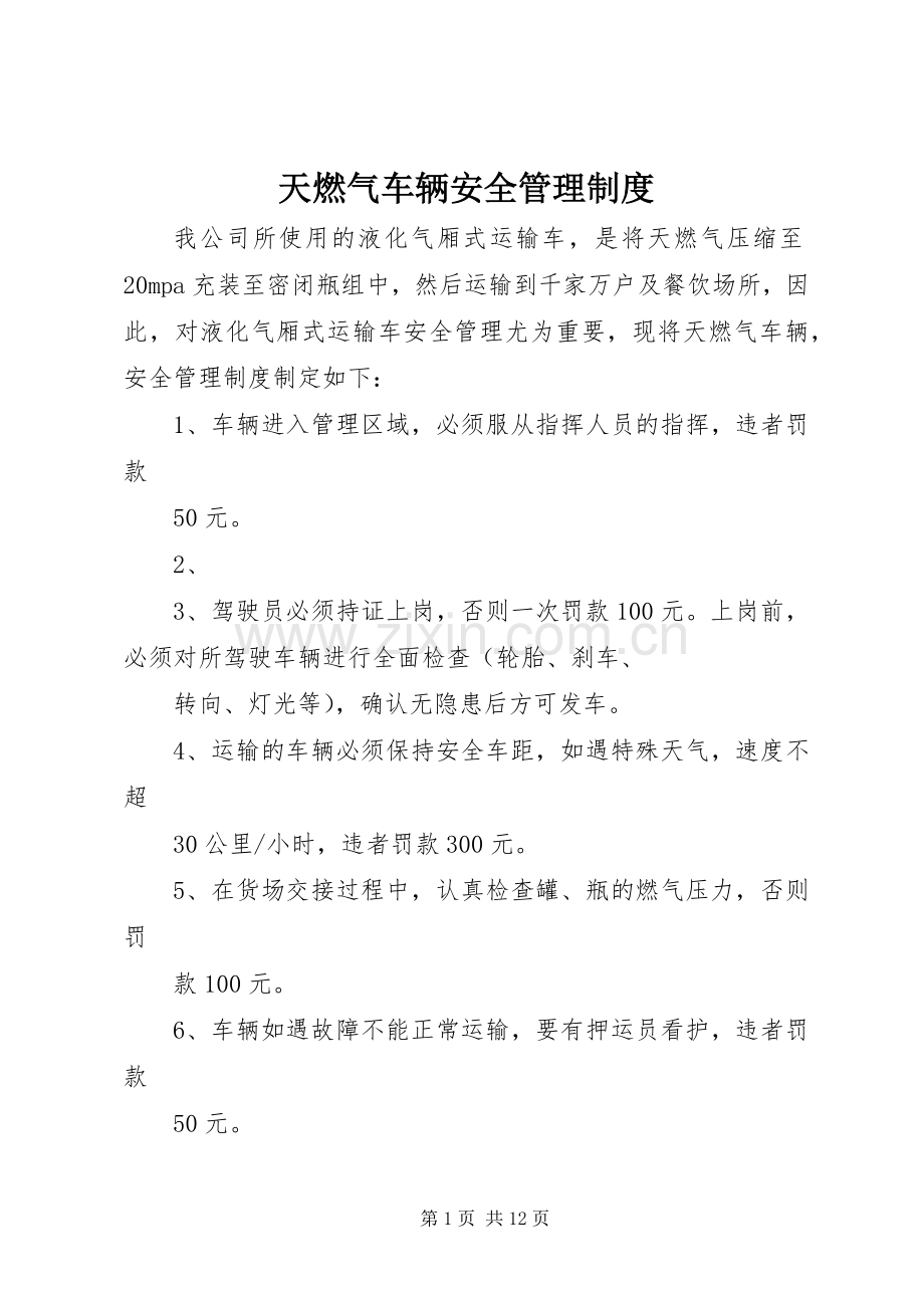 天燃气车辆安全管理规章制度.docx_第1页