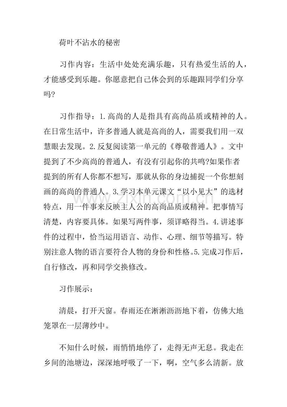 荷叶不沾水的秘密.doc_第1页