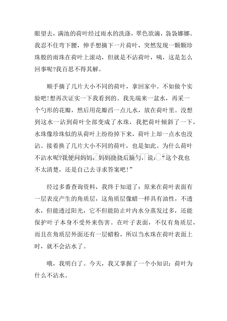 荷叶不沾水的秘密.doc_第2页