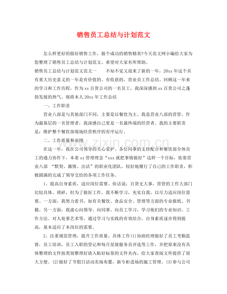 销售员工总结与计划范文 .docx_第1页