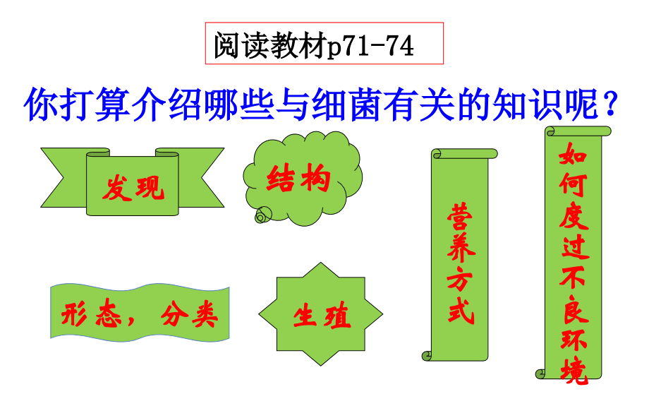 第二节-细菌.pptx_第2页