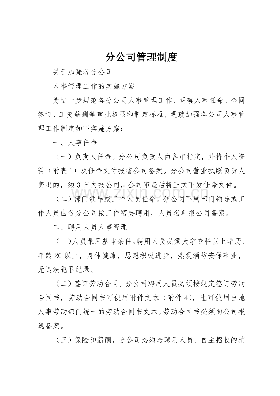 分公司管理规章制度细则.docx_第1页