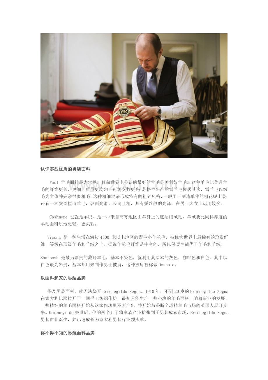 男装顶级面料分析.doc_第2页