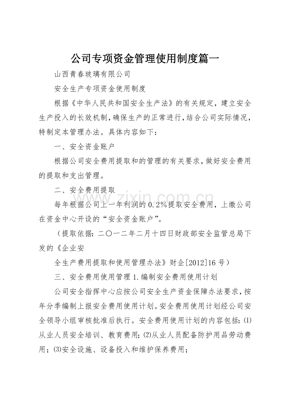 公司专项资金管理使用规章制度篇一(2).docx_第1页