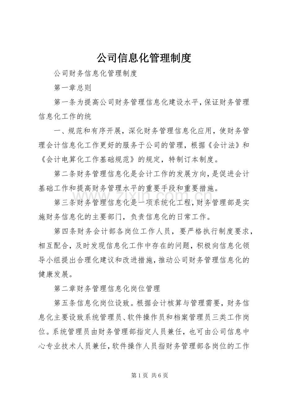 公司信息化管理规章制度 .docx_第1页