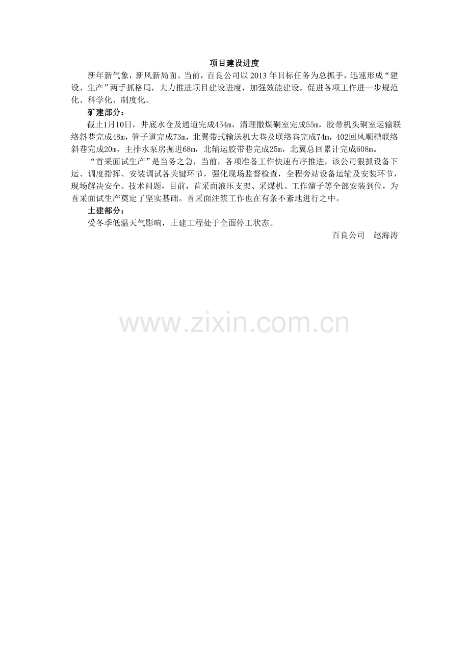 项目建设进度.doc_第1页