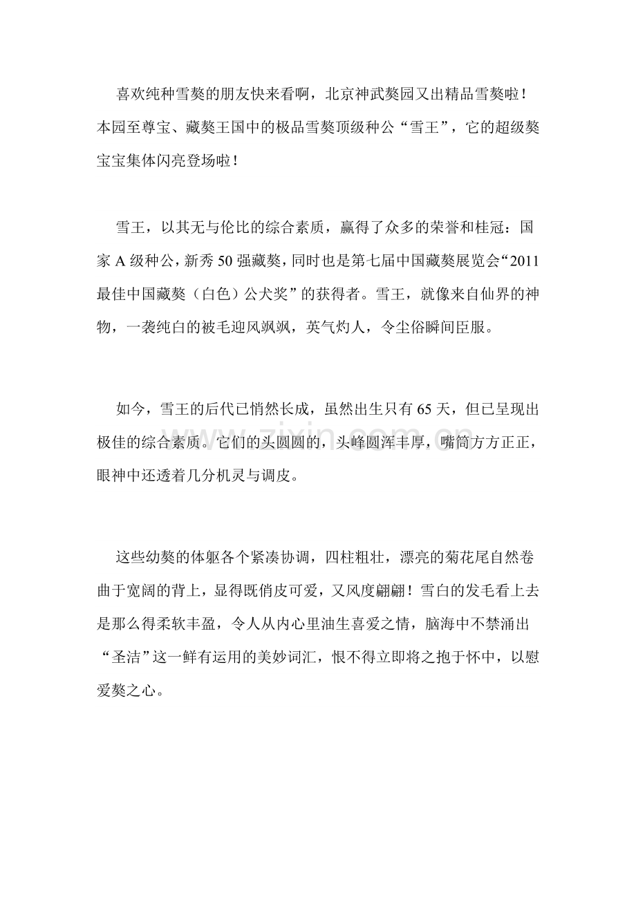 藏獒在线宣传语.doc_第1页