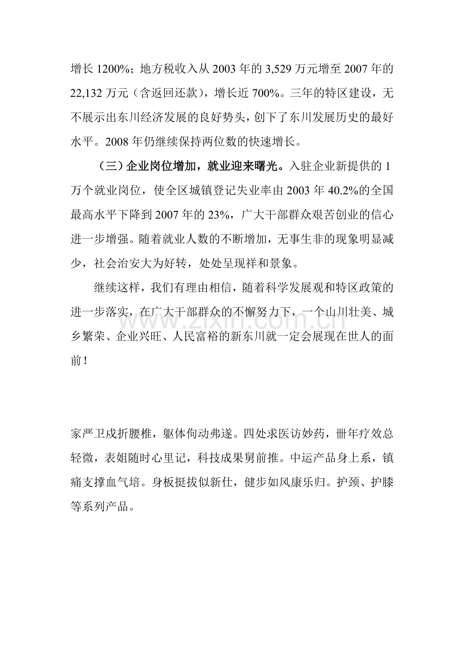 东川再就业特区持续调发展初探.doc_第2页
