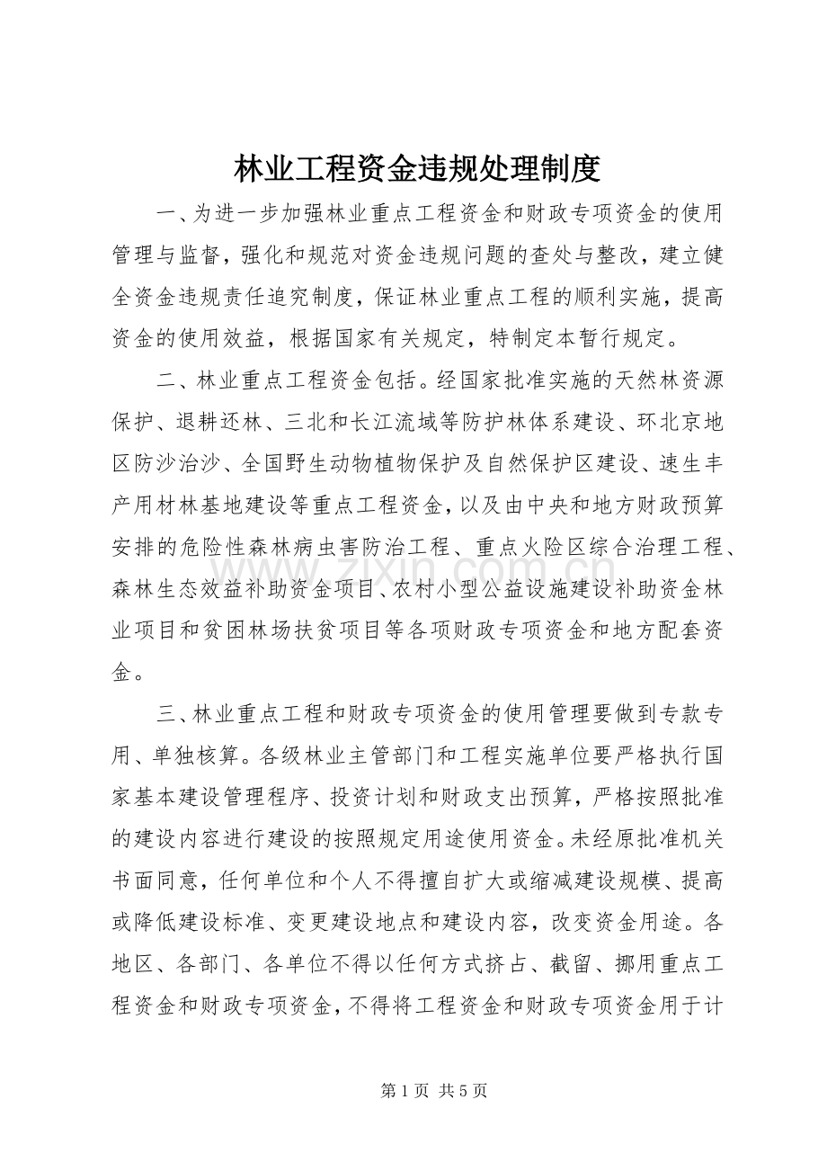 林业工程资金违规处理规章制度.docx_第1页