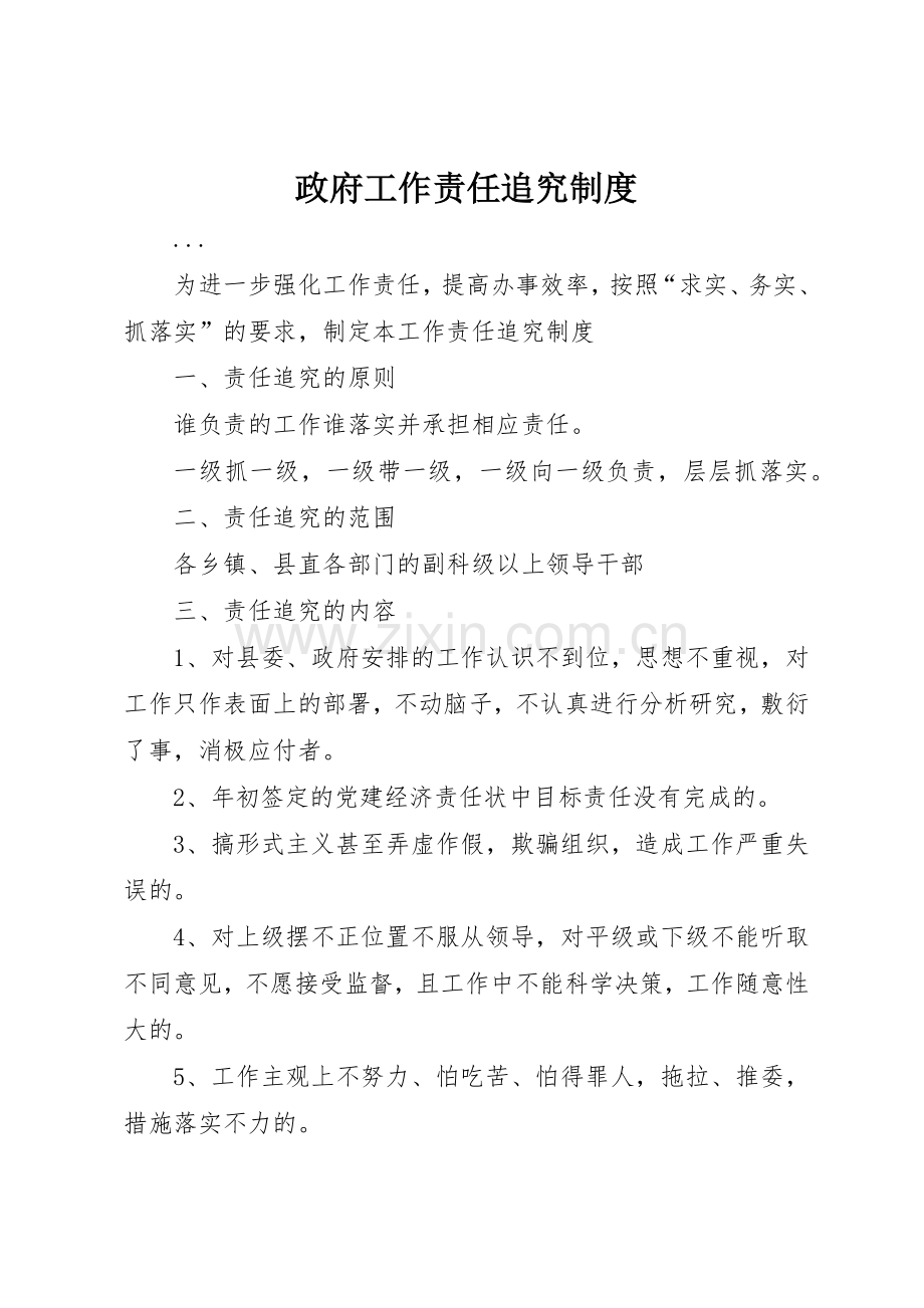 政府工作责任追究管理规章制度.docx_第1页