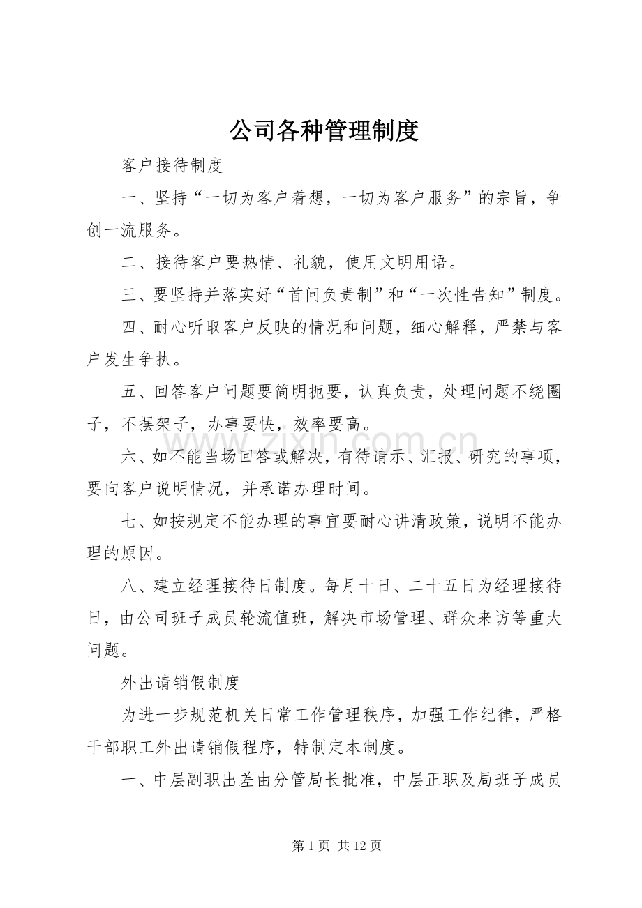 公司各种管理规章制度细则.docx_第1页
