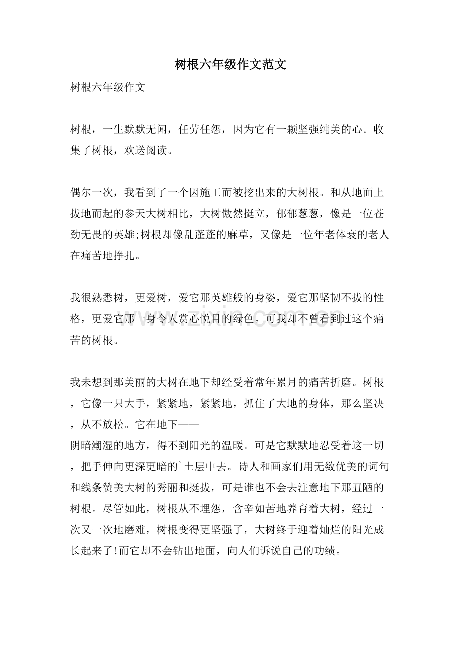 树根六年级作文范文.doc_第1页