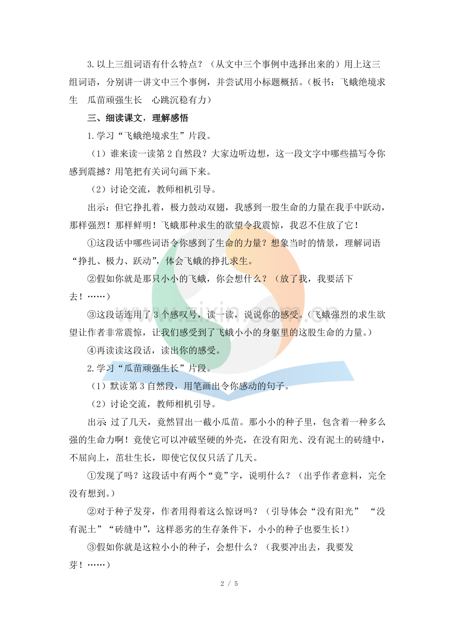 《生命-生命》教案.doc_第2页