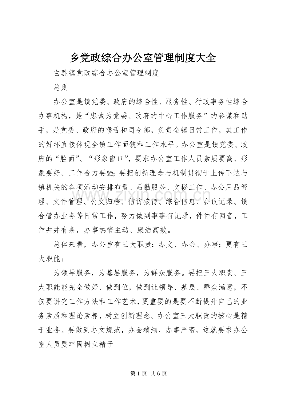 乡党政综合办公室管理规章制度大全 (2).docx_第1页