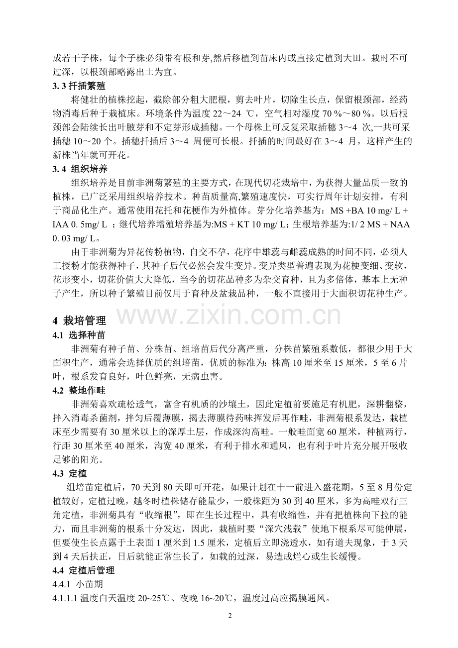 非洲菊栽培技术.doc_第2页