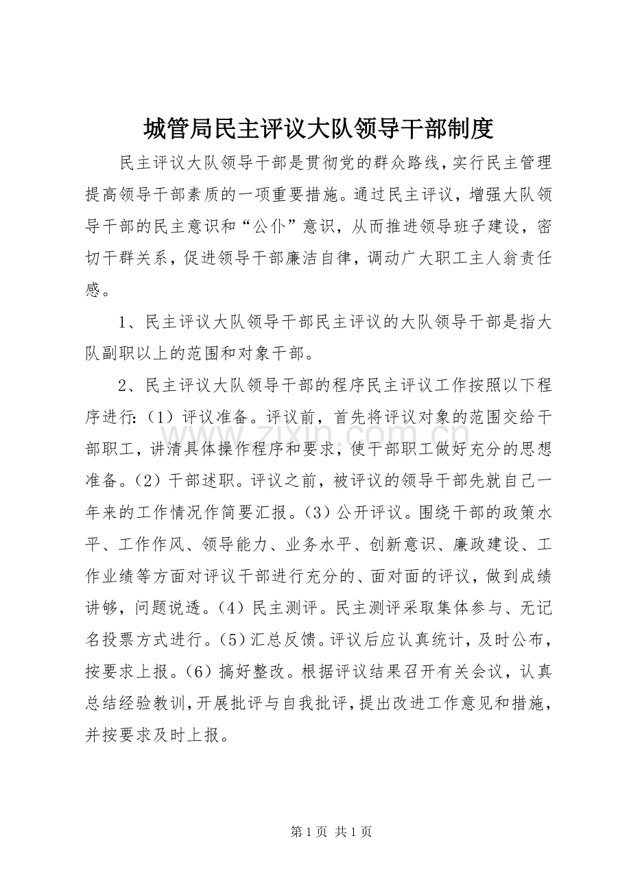 城管局民主评议大队领导干部规章制度.docx_第1页