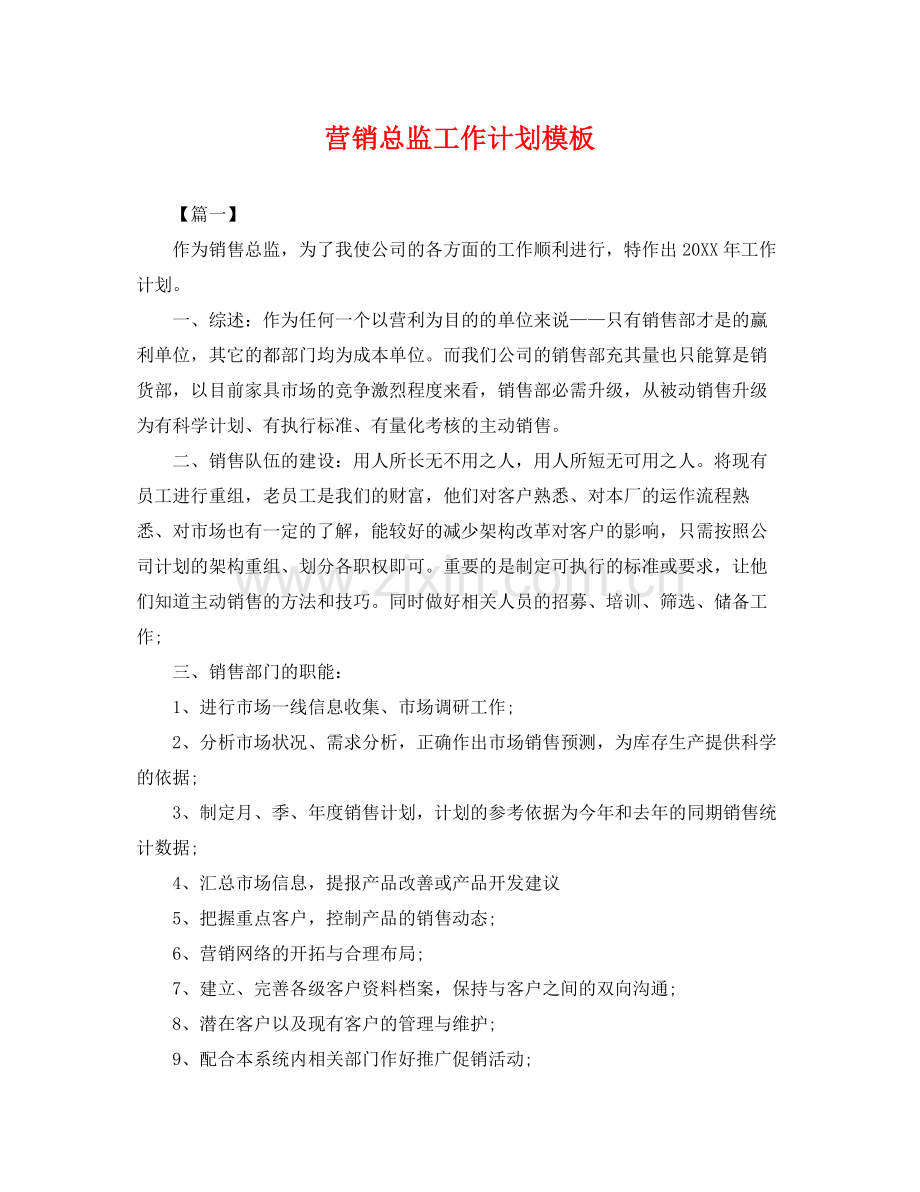 营销总监工作计划模板 .docx_第1页