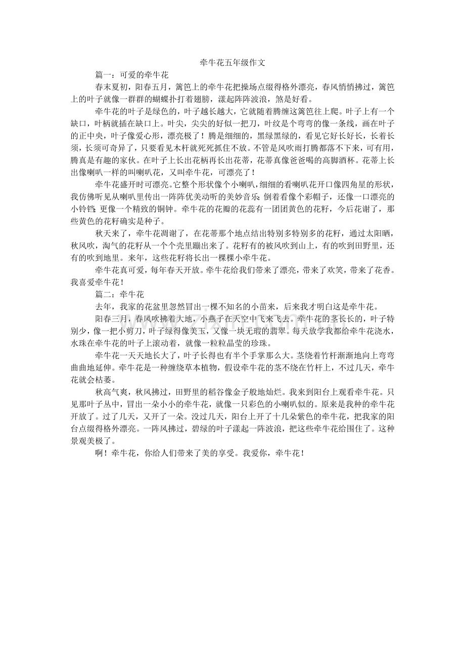 牵牛花五年级作文.doc_第1页