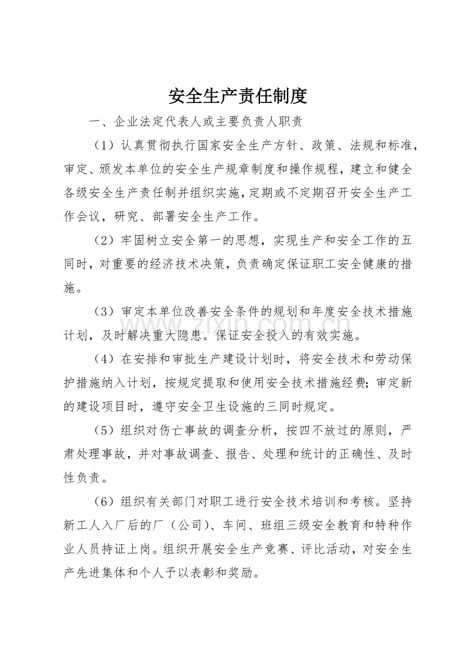 安全生产责任规章制度 (29).docx_第1页