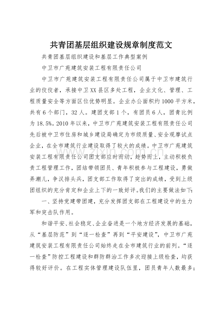 共青团基层组织建设规章规章制度细则范文.docx_第1页