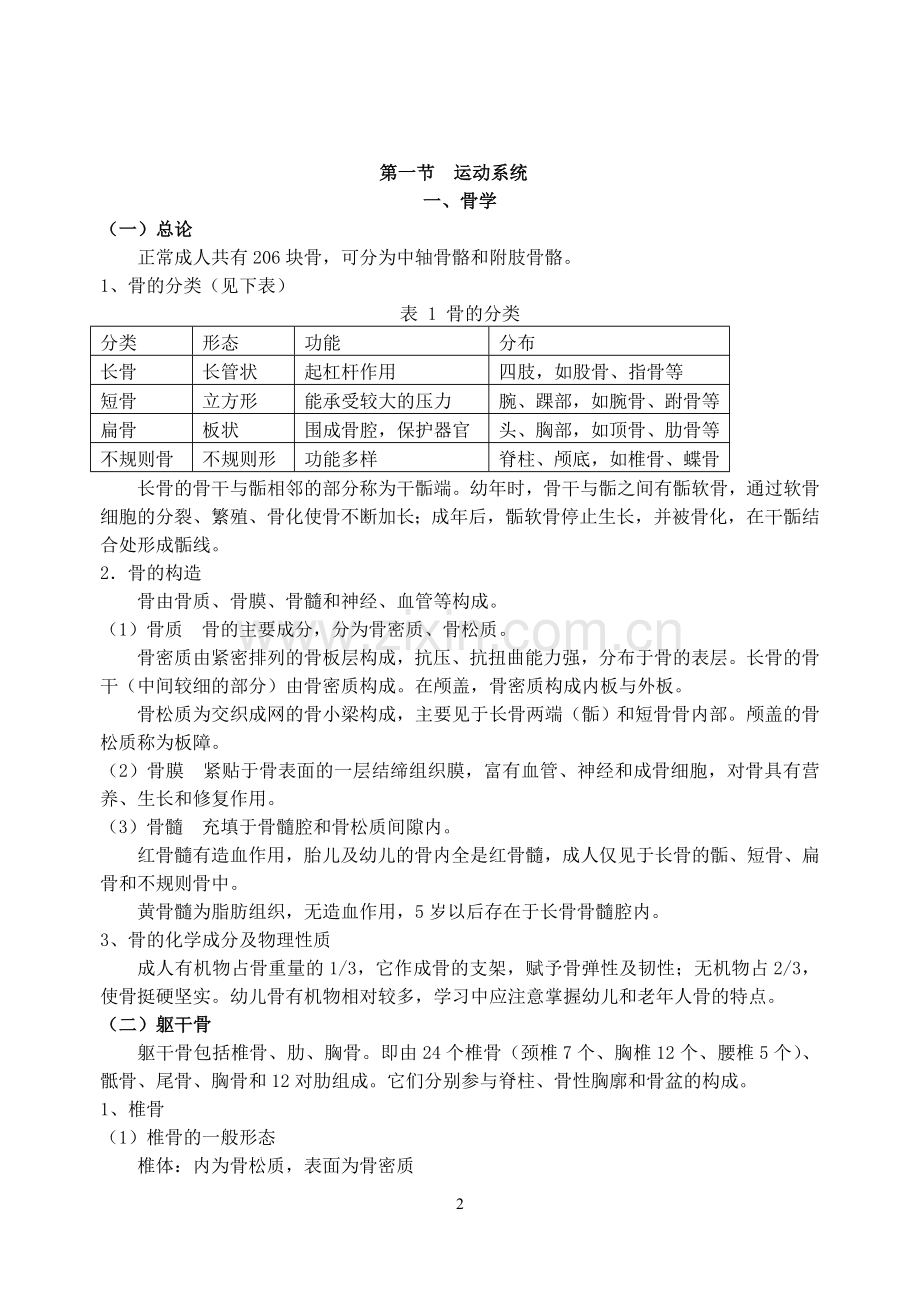 系统解剖学复习笔记.doc_第2页