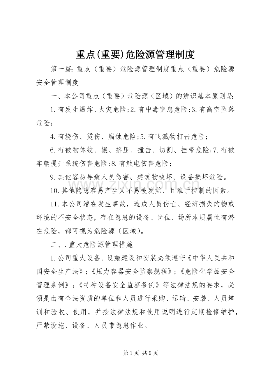 重点(重要)危险源管理规章制度.docx_第1页