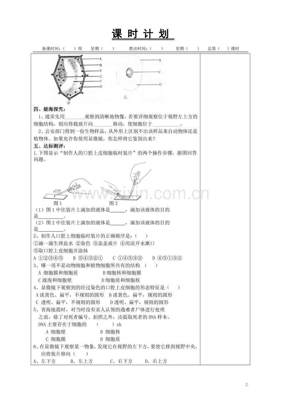 动物细胞.doc_第2页