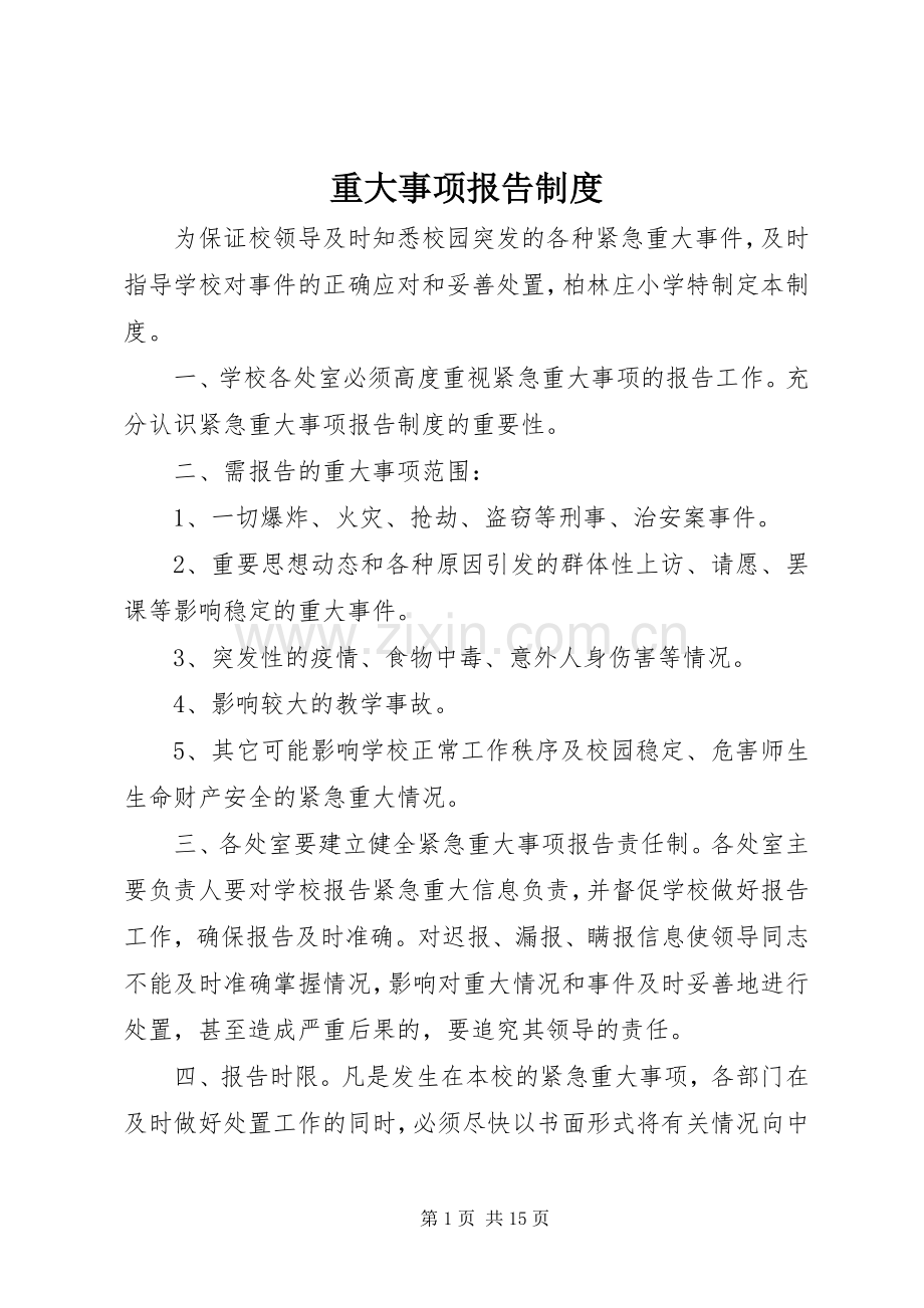 重大事项报告规章制度细则 (2).docx_第1页