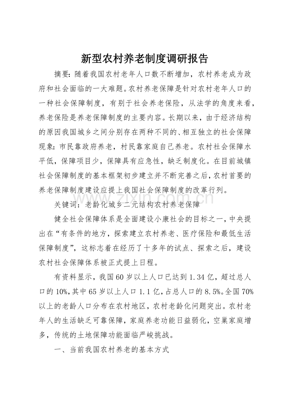 新型农村养老规章制度细则调研报告.docx_第1页
