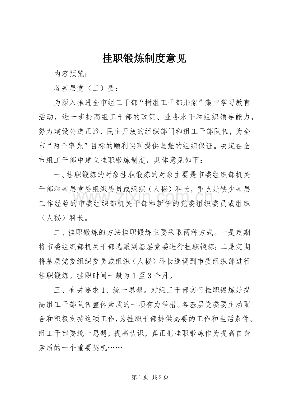 挂职锻炼规章制度意见.docx_第1页