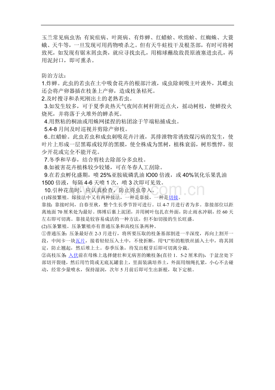 玉兰常见病虫害.doc_第1页