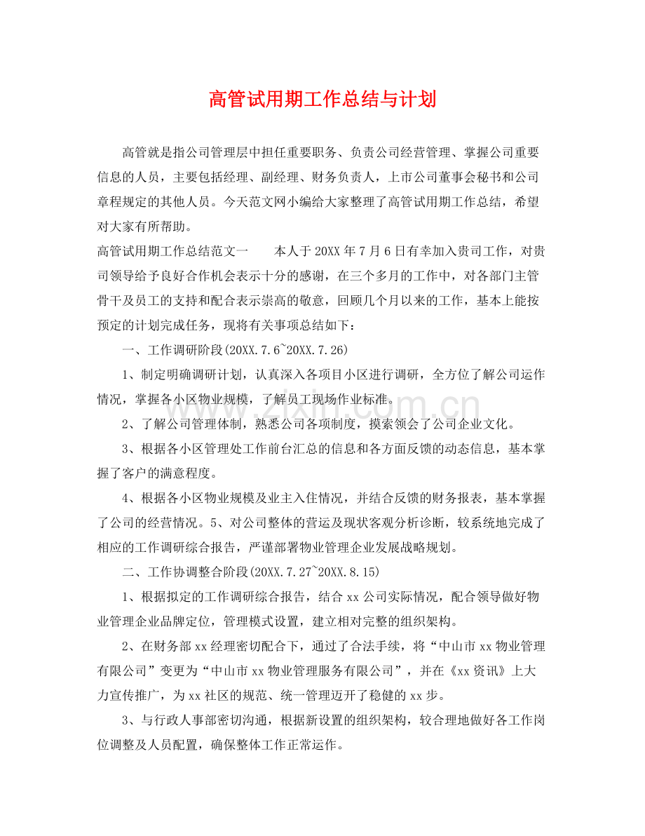 高管试用期工作总结与计划 .docx_第1页