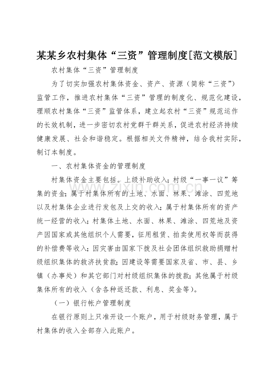 某某乡农村集体“三资”管理规章制度细则[范文模版].docx_第1页