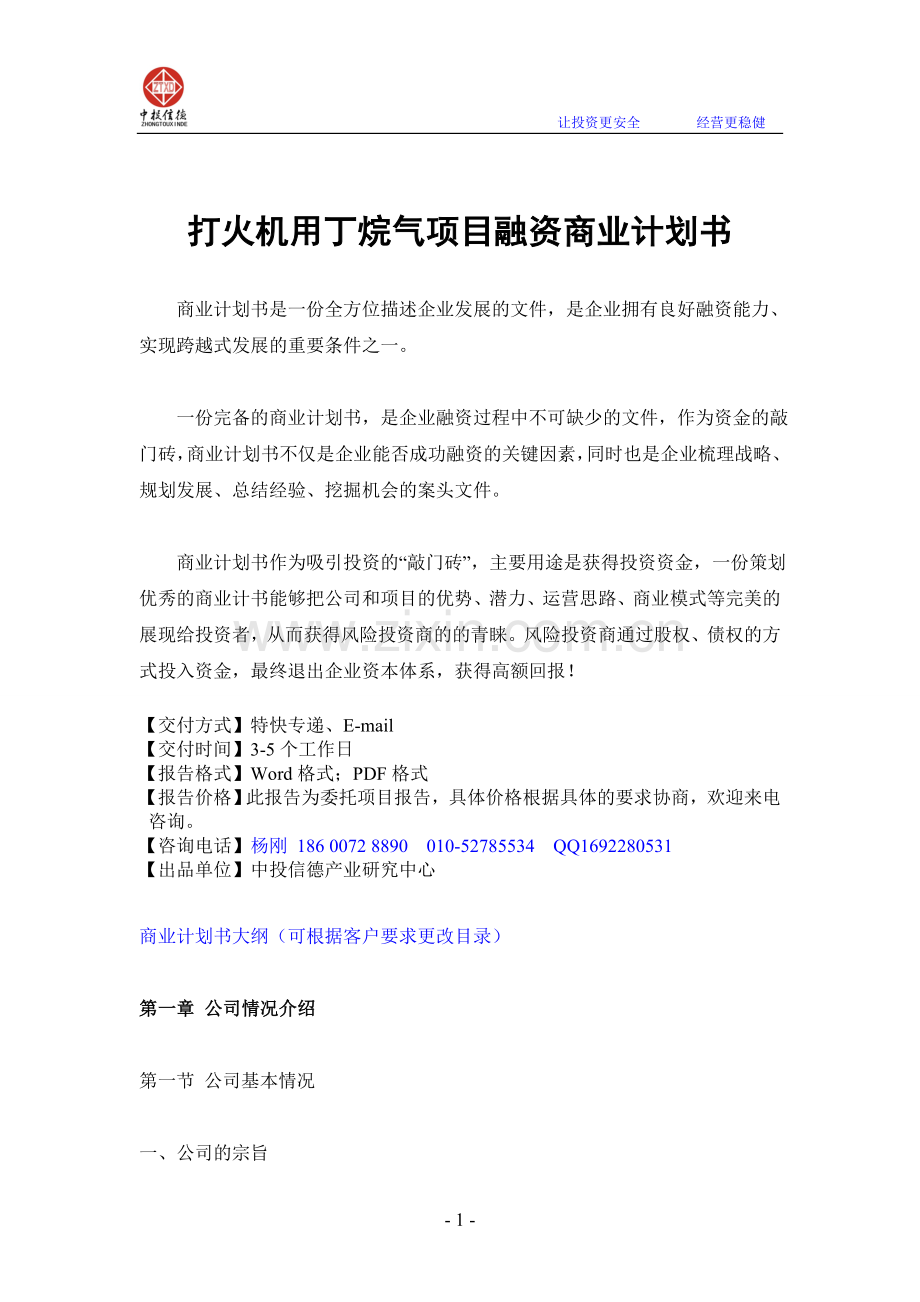 打火机用丁烷气项目融资商业计划书.doc_第1页